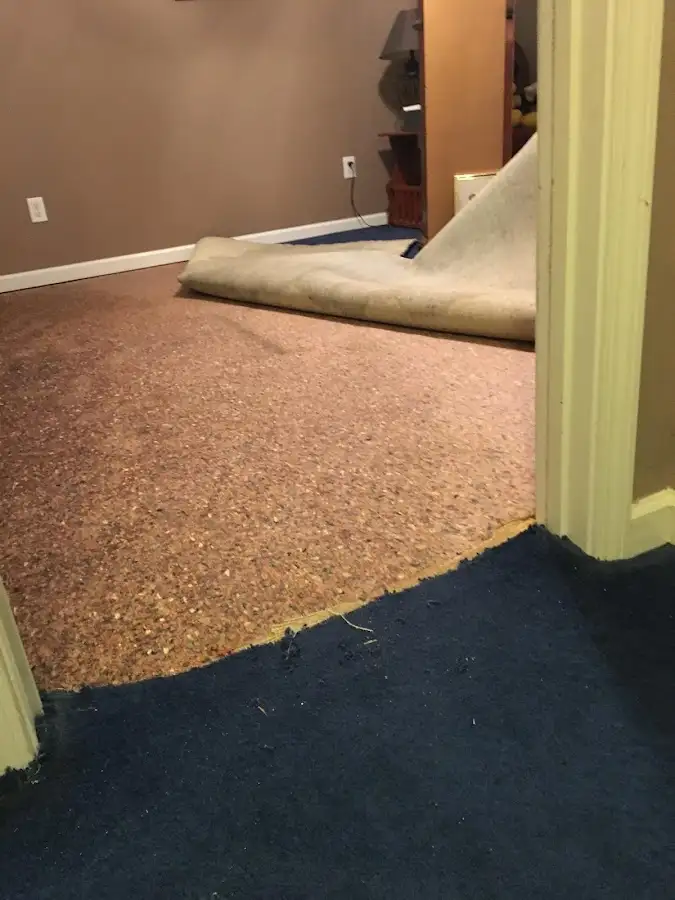 Carpet pad removal revealing water damage during Water Mitigation Services in Park City