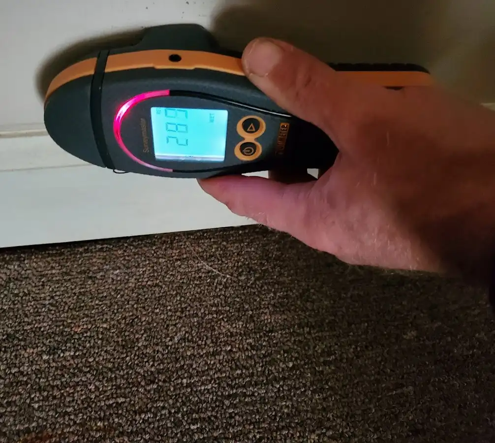 Moisture detection at baseboard during Sewage Cleanup & Sanitation in Park City